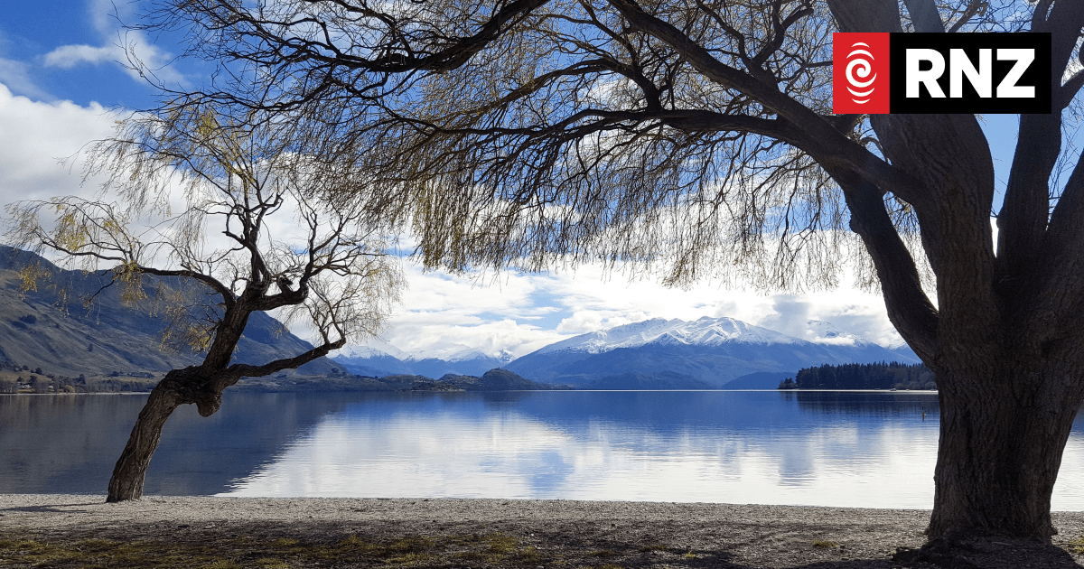 Lake Wānaka death: Police name victim as 32-year-old Codey Jervis - Vimarsana News