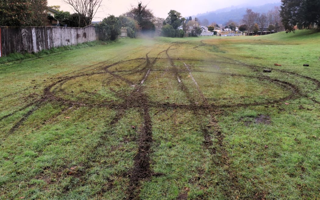 Damaged grass at the Recreation Reserve between Susan and Homedale Sts in Rotorua.  Photo / Ben Fraser