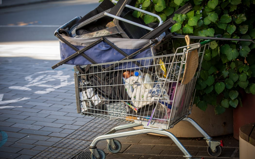 Homelessness Bin the Ban letter for parliment