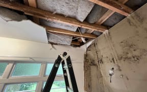 An Auckland homeowner says he and his family have been left with a damaged roof and destroyed ceilings.