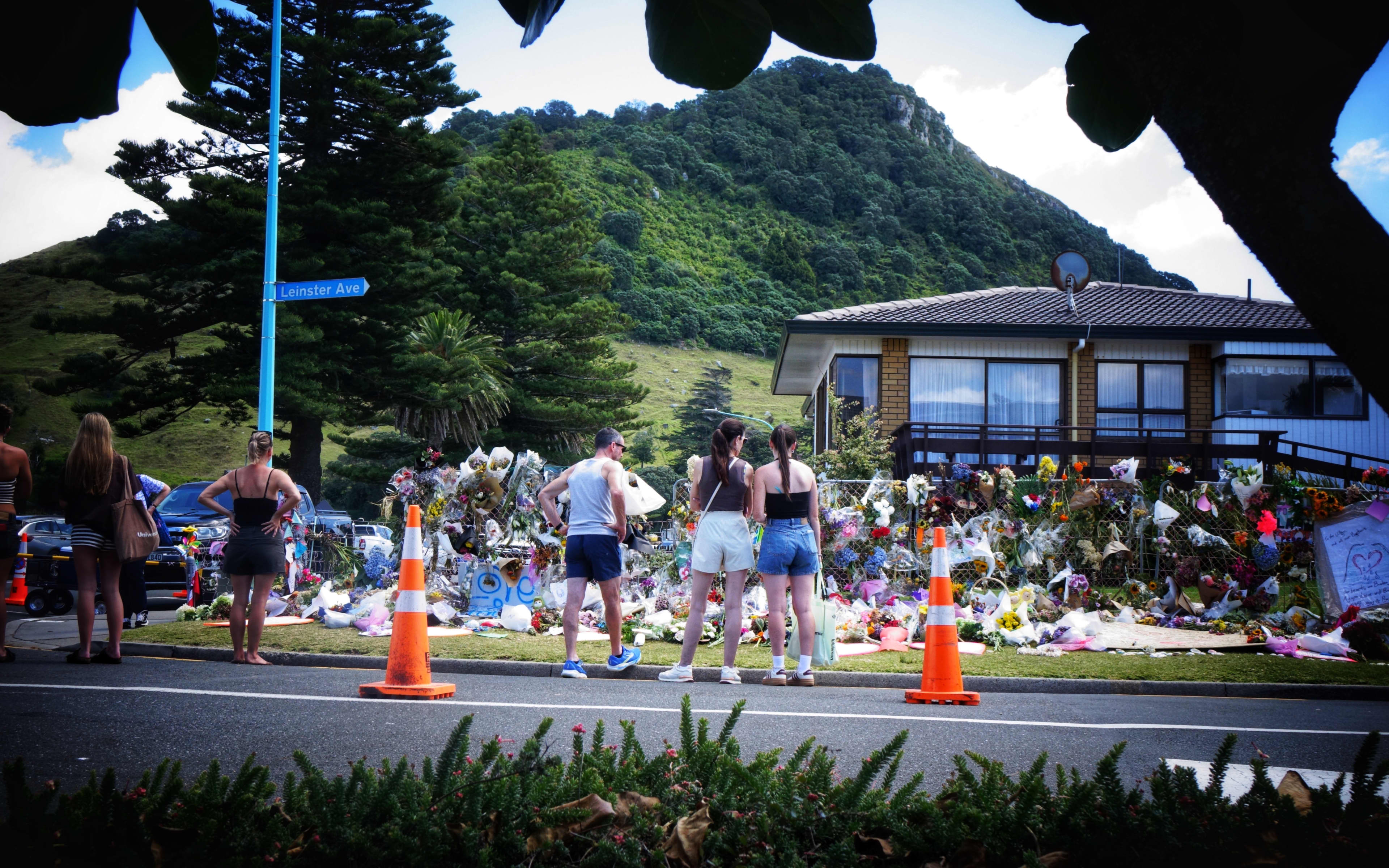 Cover art for Tauranga landslides inquiry delayed