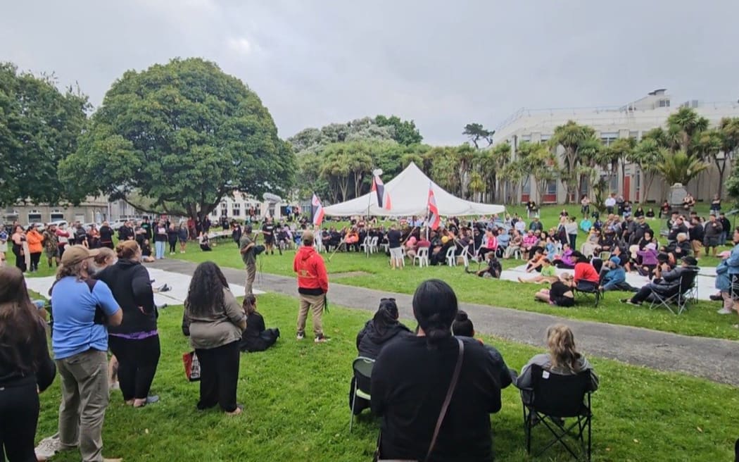 Hundreds of people turned out at Pākaitore historic reserve in Whanganui on 4 December, 2023, for protest action against the new government.