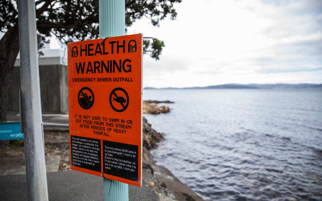 Days Bay after a sewage pipe burst