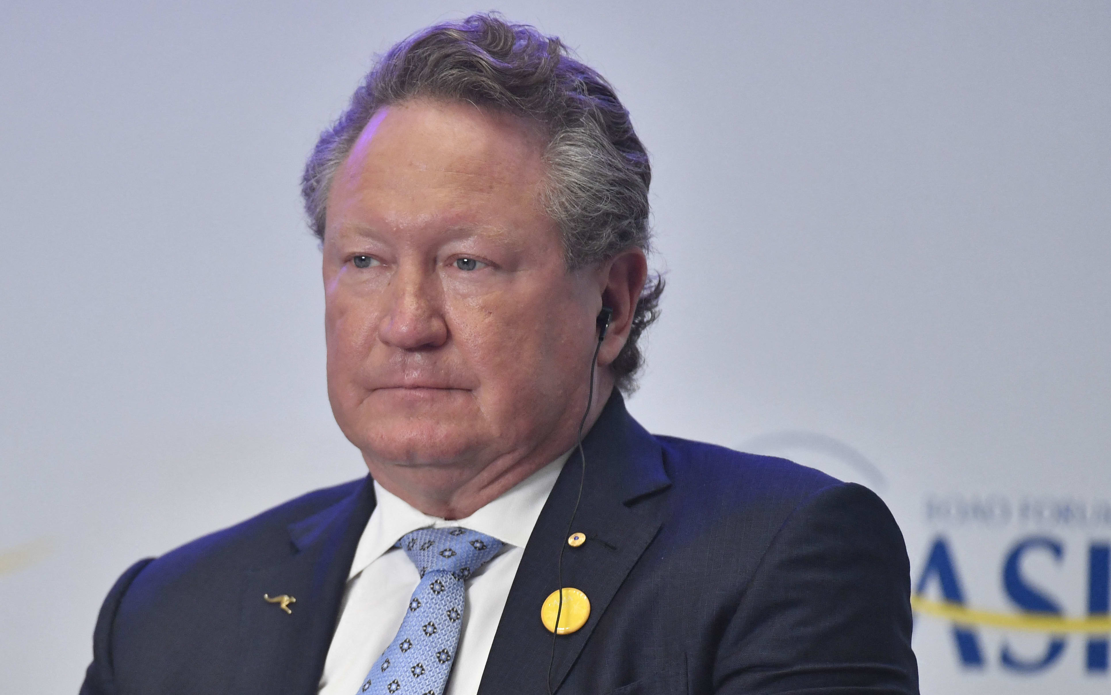 Fortescue Metals Group chairperson Andrew Forrest on 27 March 2019.