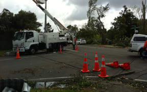 Vector replaced entire sets of power poles in some areas after they were snapped in half.