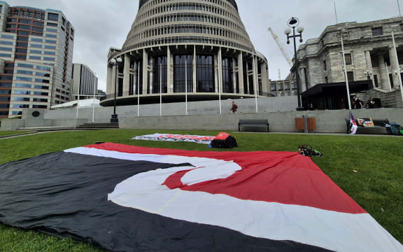 The tino rangatiratanga haki (flag) outside parliament on the day of the Treaty Principles Bill introduction
