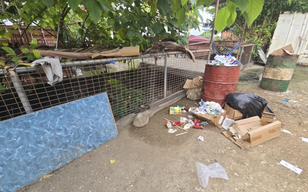 New Zealand animal charity Helping You Help Animals (HUHA) is moving the crocodiles from behind Kokonut Cafe to a private sanctuary with help from Australia Zoo.