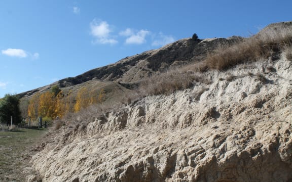 Dry hill country farm in Hawke's Bay