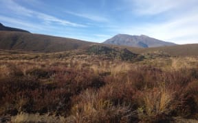 Mount Ruapehu as seen from entrance to Tongariro National Park