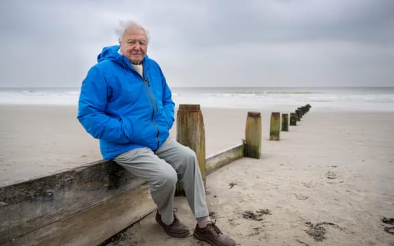 David Attenborough is celebrating his 99th birthday with a dire warning for the future of the planet.