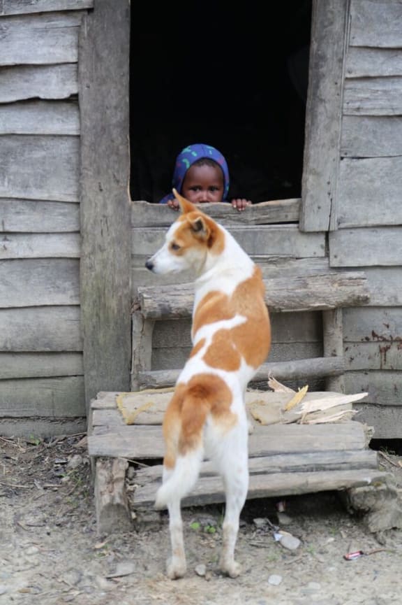 Child and dog, Mee Pago, Papua province, April 2018