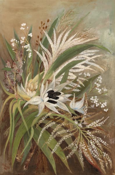 Emily Cumming Harris, Kiekie (Freycinetia banksii); Tī ngahere (Cordyline banksii); Nīkau (Rhopalostylis sapida); Mikoikoi (Libertia grandiflora); Neinei (Dracophyllum), 1906, oil on board, 830 x 550mm.