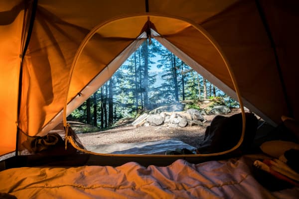 An open tent with a view of a forest.
