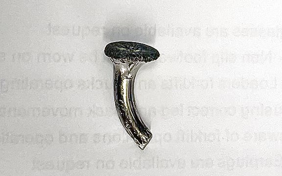 This stainless steal screw head Robert Monk pulled from one of his truck tyres on Thursday morning is just the latest of many.