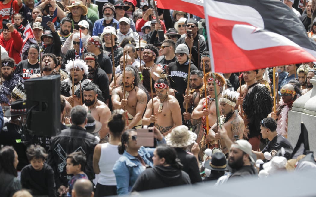 The  Hīkoi mō te Tiriti at Parliament grounds.