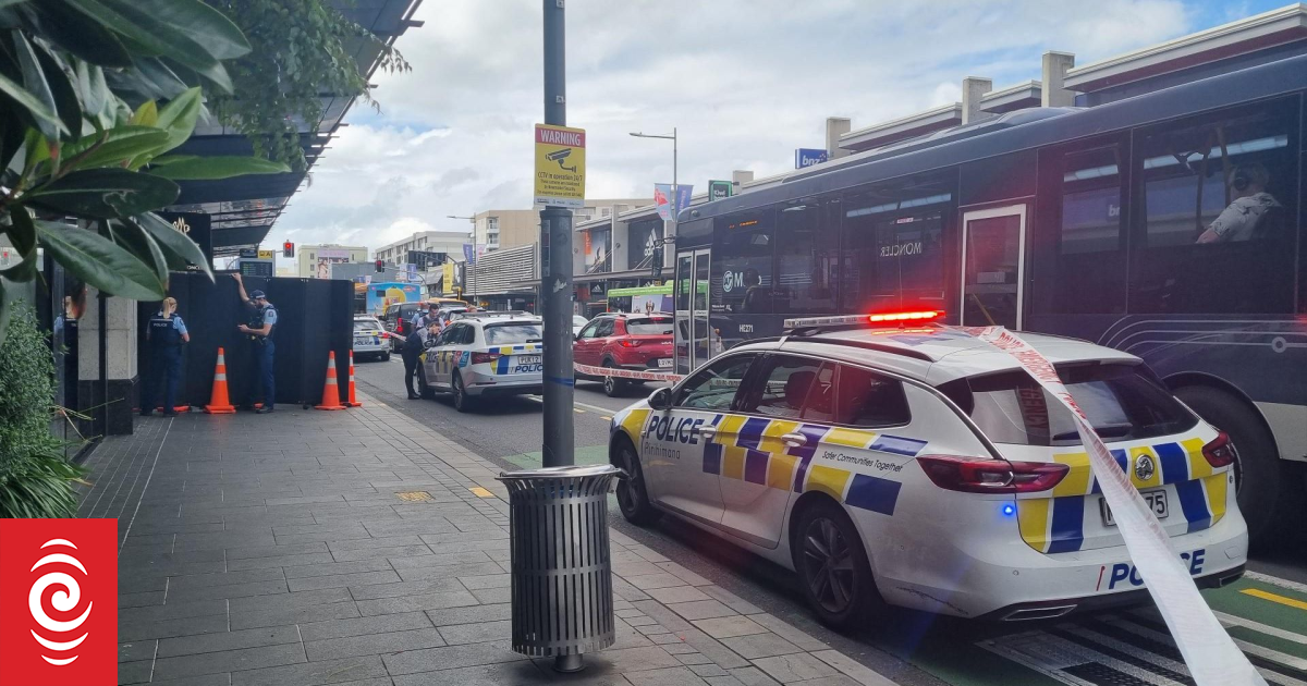 'I think New Zealand has a problem' after mall stabbing - security boss