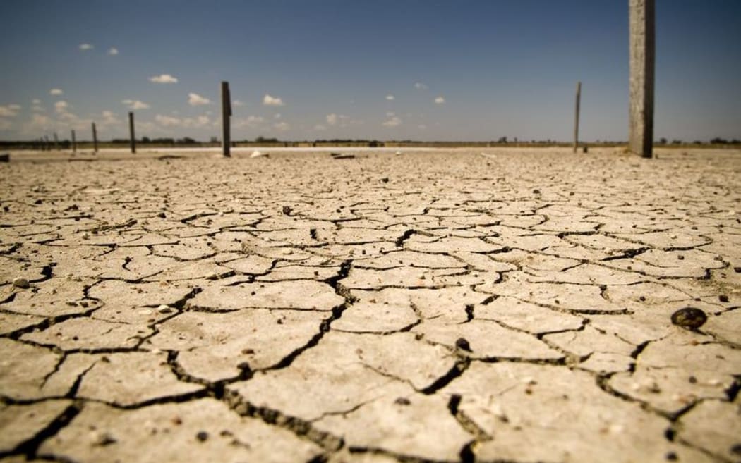 The Australian Climate Roundtable will lobby for well-designed climate change policies.