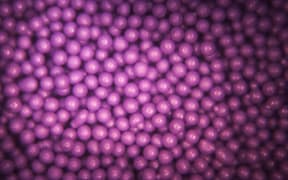 An extreme close up of microbeads.