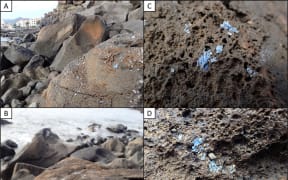 'Plasticrust' found on rocks in Madiera