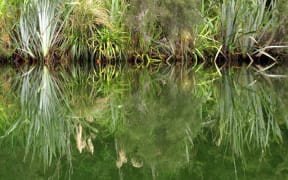 Kayaking Okarito Lagoon-one of 15 reflective journeys in Mark Pickering's new book