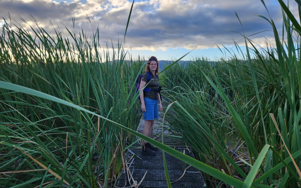 Sarah-Jane Jensen of Greater Wellington Regional Council among the raupō, a perfect hiding place for the Australasian Bittern
