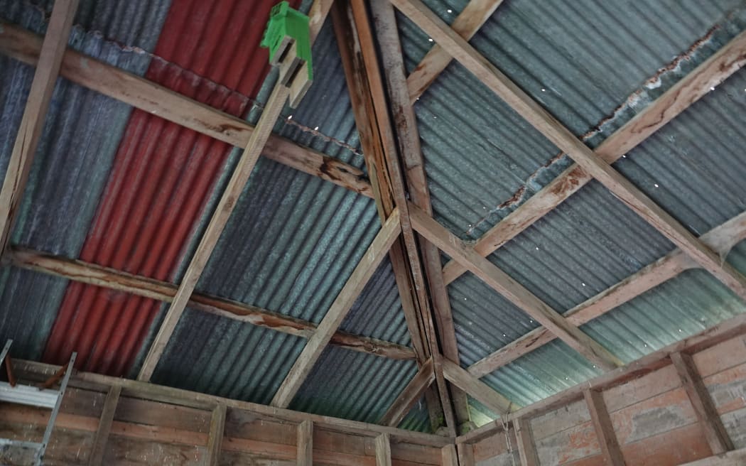 A colony of long-tailed bats have been found roosting in an unlikely spot: a farm shed roof in Central Hawke's Bay.