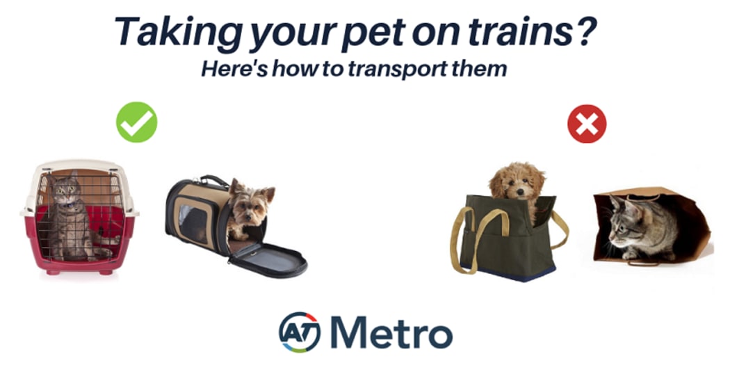 Auckland Transport has begun a trial of pets on trains.