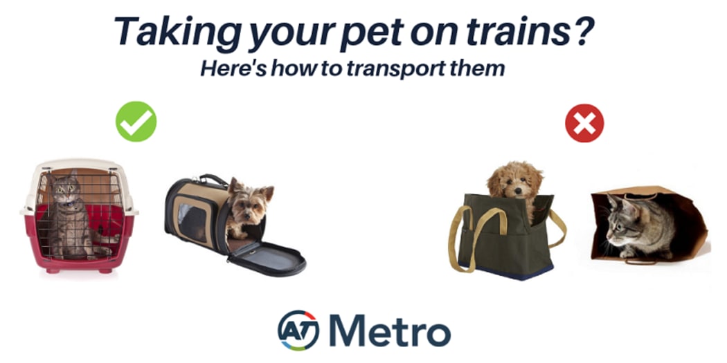 Pets to be allowed on Auckland trains during trial RNZ News