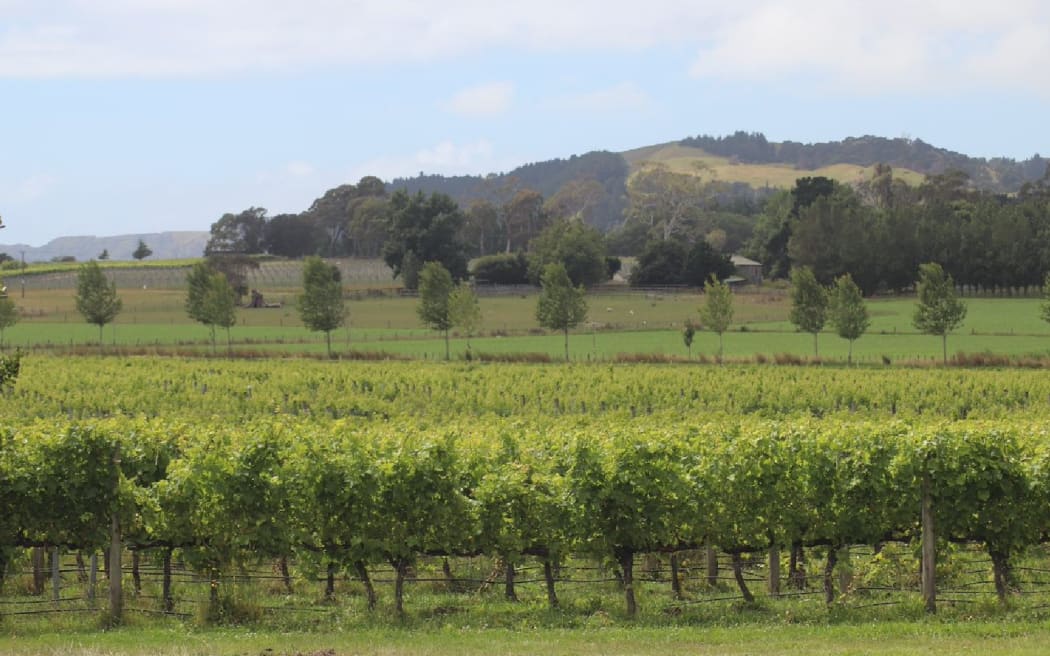 Te Awanga Estate.