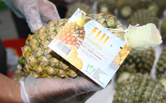 The Ripley Queen pineapple variety has already drawn positive interest in New Zealand for its sweetness, robust flavour, and strong shelf life.