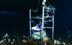 A metal frame with tubes and bottles attached sits on the seafloor in ocean so dark it is black. The apparatus is positioned over a large spherical sponge, nestled on muddy seafloor among other strange sponges and marine plants.