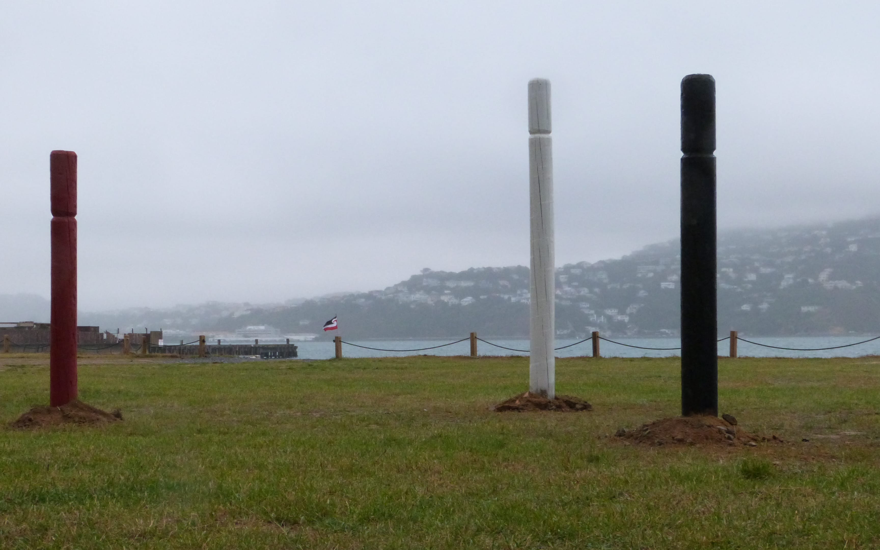 Protesters erected pouwhenua on the land to represent their disapproval of the Shelley Bay land being sold to developers.