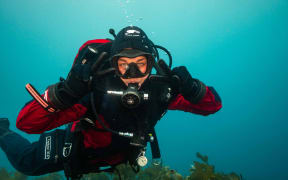 Courtney Bevan out on a dive.
