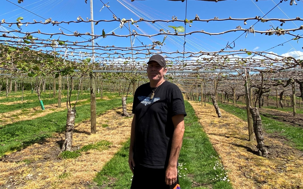 Kiwifruit orchard foreman Dave Trafford under the barren vines.