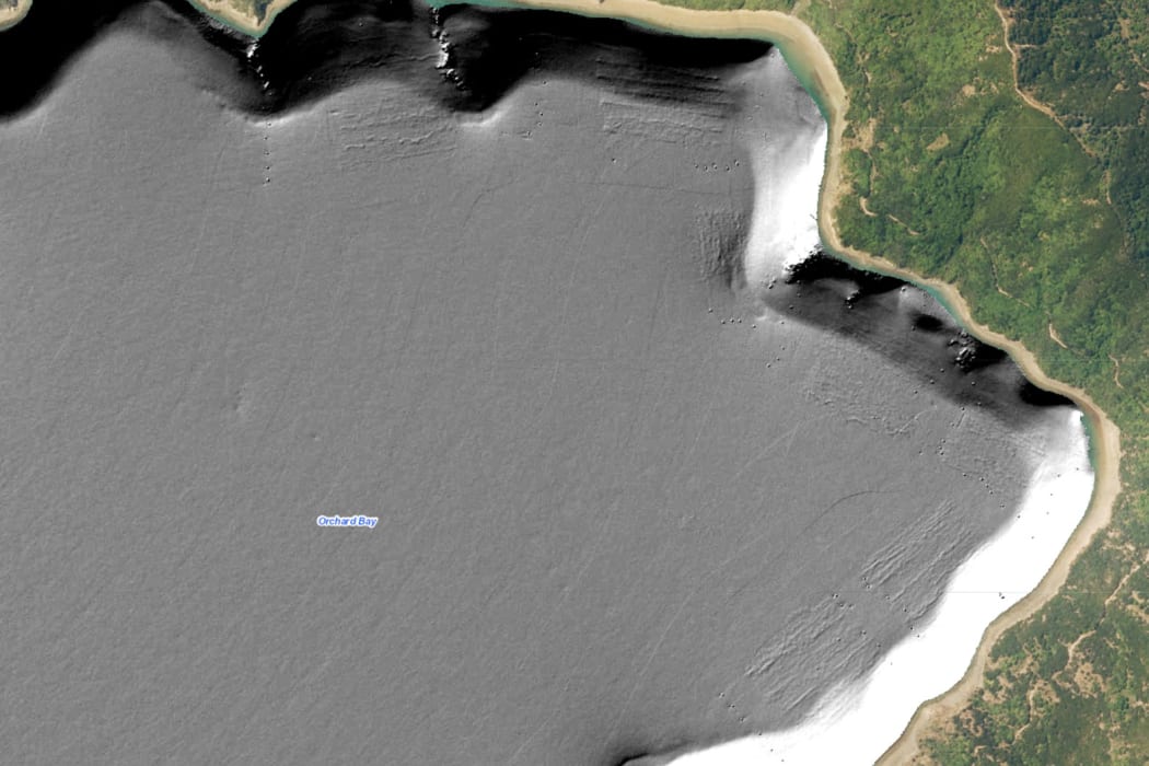 Lines of mussel shells beneath marine farms in Forsyth Bay.