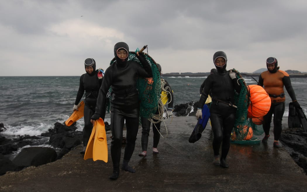 JEJU, SOUTH KOREA - NOVEMBER 06:  South Korean haenyeo exit the water after catching turban shells and abalones while diving on November 6, 2015 in Jeju, South Korea. "Haenyeo," or Sea Women are the female divers in Jeju Island. In 2014, South Korea applied to UNESCO to add the haenyo to its Intangible Cultural Heritage List, and it has been under examination by the committee.  (Photo by Chung Sung-Jun/Getty Images)