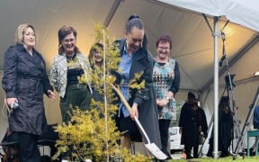 Wellington mayor Tory Whanau plated a tree on Saturday to celebrate King Charles' Coronation.