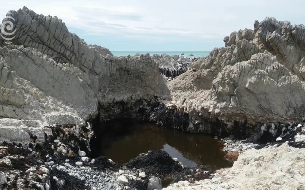 Kaikoura earthquake moved South Island 6 metres closer to North Island