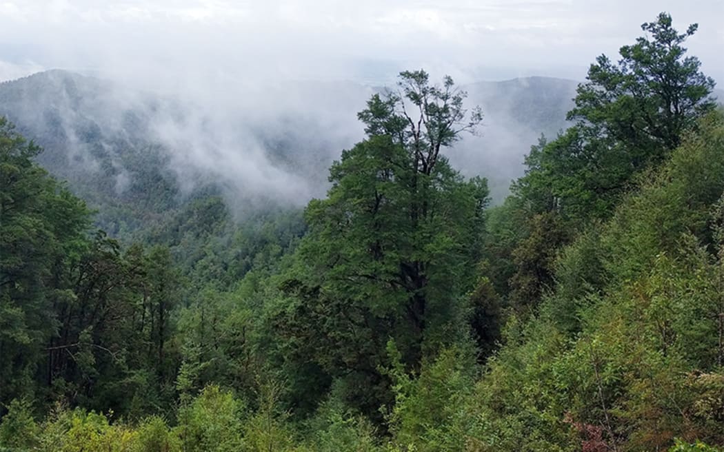 View from newly opened Pike 29 Memorial Track
