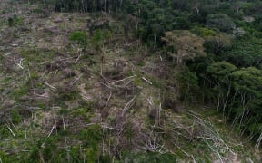 A section of deforestation is pictured near La Paz, Guaviare department, Colombia.