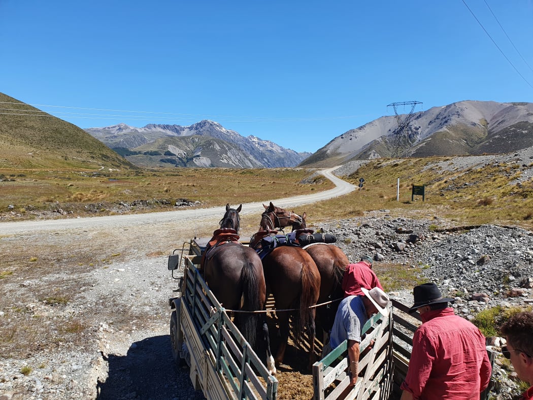 Ex-army trucks are used to transport the horses, dogs and musterers to work on vast Molesworth Station