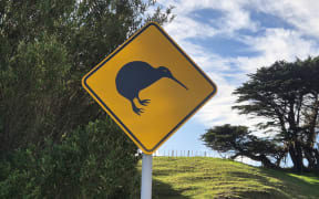 Watch out for kiwi signs placed along Mākara's roads near the station.