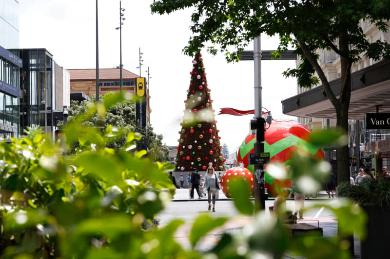 The new 1.2m Christmas tree at Britomart, Auckland, November 29, 2024.