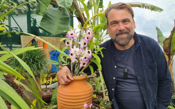 Michael Mansvelt from Jungle Nurseries