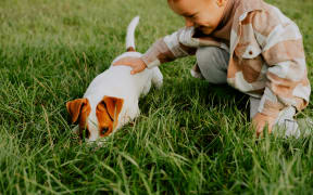 Does spending time with animals lower children’s risk of allergies?