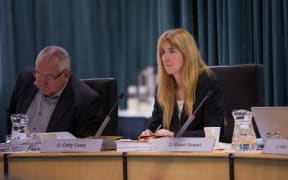 Cathy Casey at a Council meeting about the Unitary Plan. 10 August 2016.