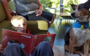 Theo de Heer, 8, reading to Poppy at the South Library in Christchurch.