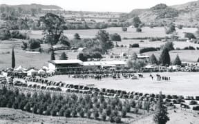 Elevated view overlooking the Takaka Agricultural & Pastoral Show in progress at the showgrounds.