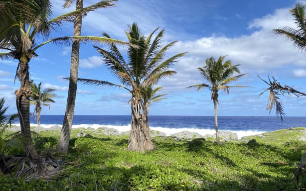 A beach in Mitiaro in the Cook Islands