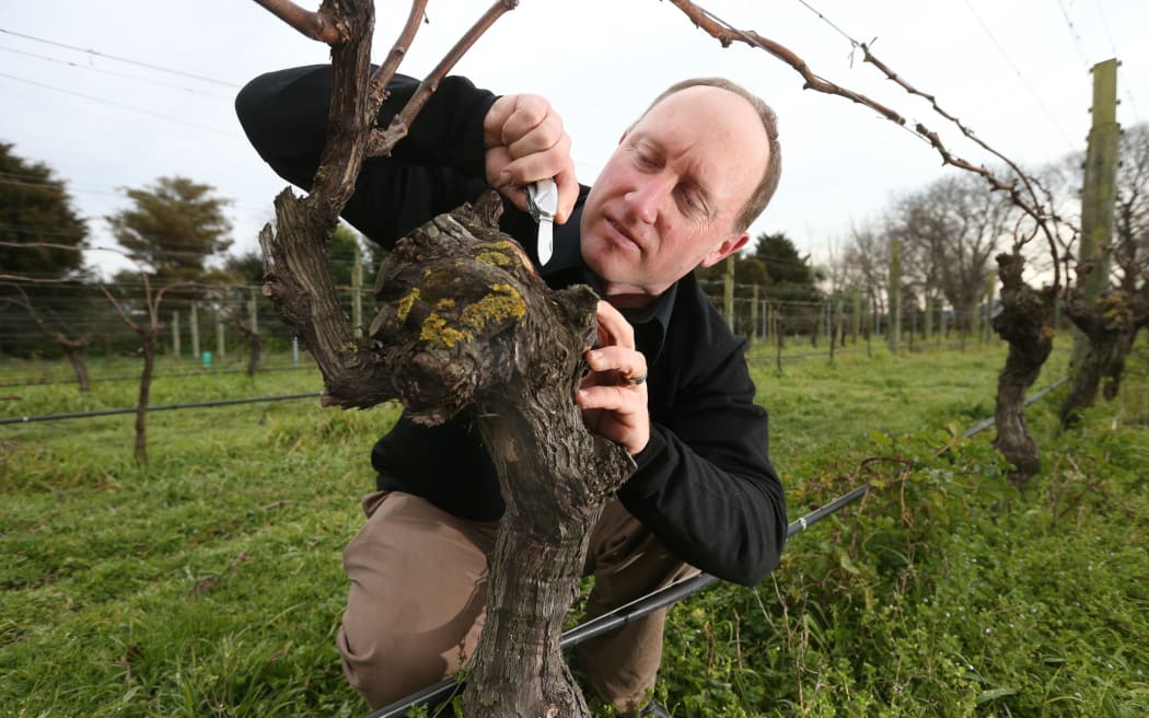 Marlborough Plant and Food senior scientist Dion Mundy